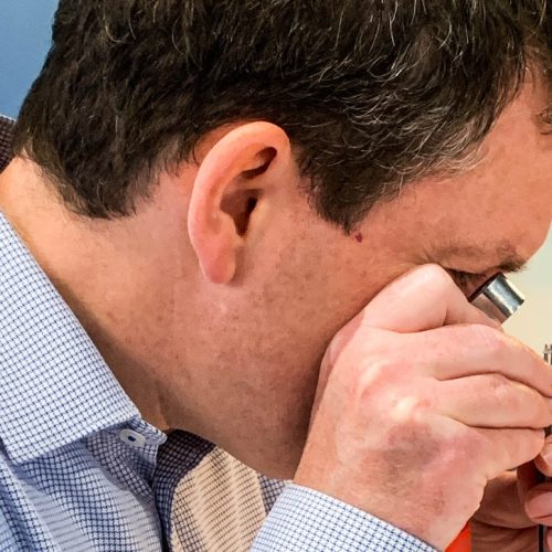 Simon looking at stone – cropped