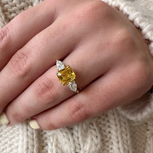 J3894 – Hand in Situ